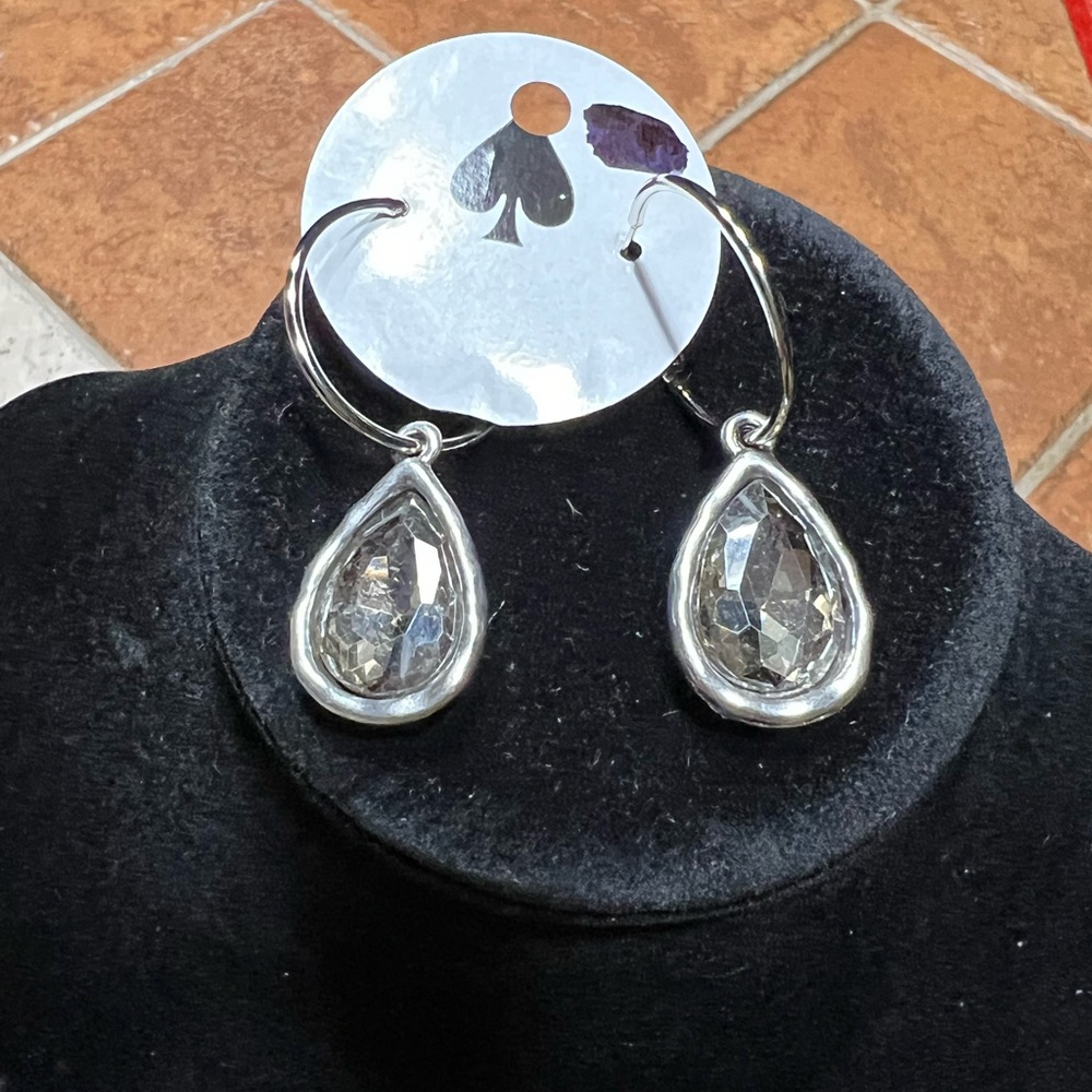 Sandra Ling Charcoal Crystal Hoop Earrings
